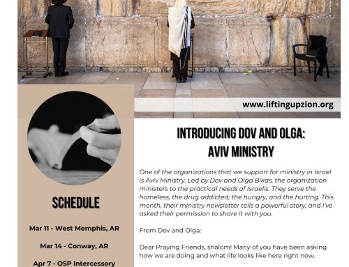 Introducing Dov and Olga