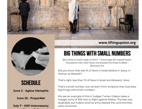 May/June 2026 Newsletter